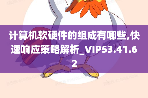 计算机软硬件的组成有哪些,快速响应策略解析_VIP53.41.62