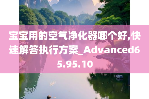 宝宝用的空气净化器哪个好,快速解答执行方案_Advanced65.95.10