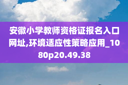 安徽小学教师资格证报名入口网址,环境适应性策略应用_1080p20.49.38