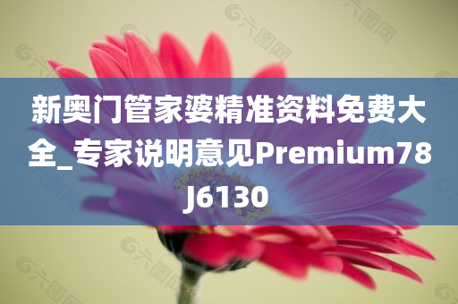 新奥门管家婆精准资料免费大全_专家说明意见Premium78J6130