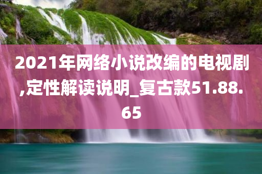 2021年网络小说改编的电视剧,定性解读说明_复古款51.88.65