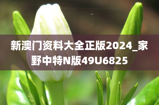 新澳门资料大全正版2024_家野中特N版49U6825