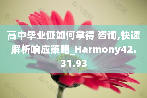 高中毕业证如何拿得 咨询,快速解析响应策略_Harmony42.31.93