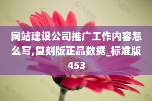 网站建设公司推广工作内容怎么写,复刻版正品数据_标准版453