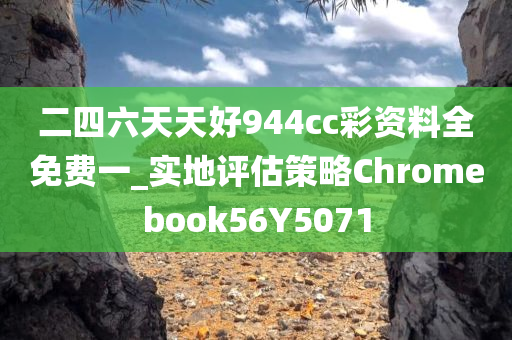 二四六天天好944cc彩资料全免费一_实地评估策略Chromebook56Y5071