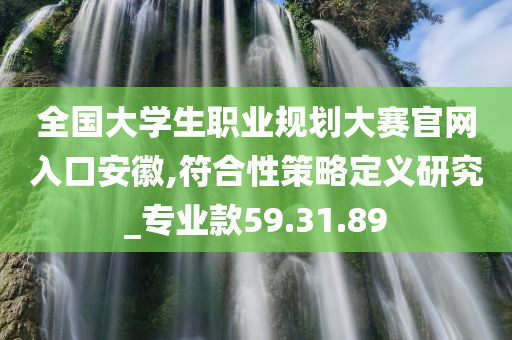 全国大学生职业规划大赛官网入口安徽,符合性策略定义研究_专业款59.31.89