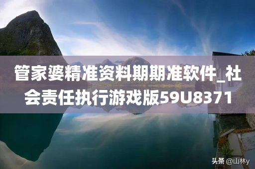 管家婆精准资料期期准软件_社会责任执行游戏版59U8371