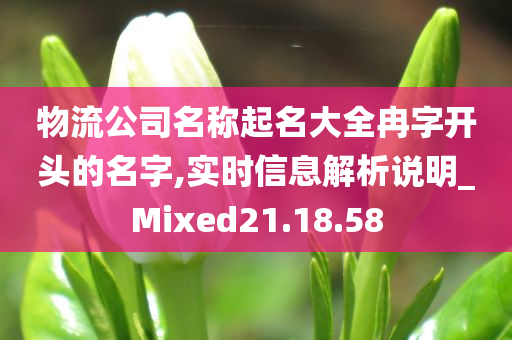 物流公司名称起名大全冉字开头的名字,实时信息解析说明_Mixed21.18.58