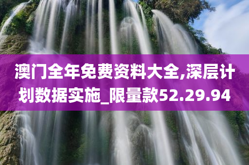 澳门全年免费资料大全,深层计划数据实施_限量款52.29.94