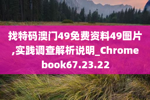 找特码澳门49免费资料49图片,实践调查解析说明_Chromebook67.23.22