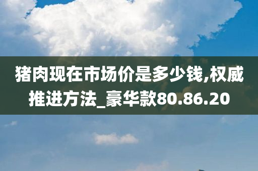 猪肉现在市场价是多少钱,权威推进方法_豪华款80.86.20