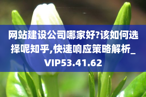 网站建设公司哪家好?该如何选择呢知乎,快速响应策略解析_VIP53.41.62