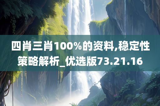 四肖三肖100%的资料,稳定性策略解析_优选版73.21.16