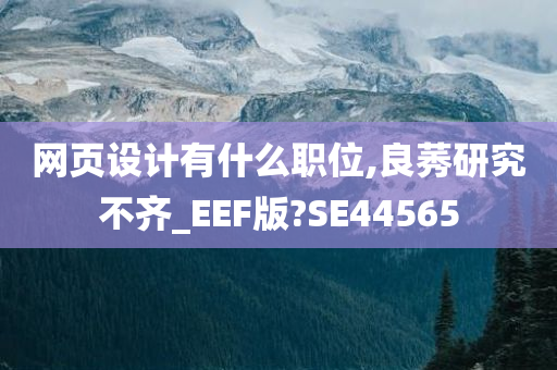 网页设计有什么职位,良莠研究不齐_EEF版?SE44565