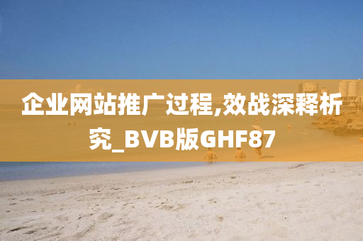 企业网站推广过程,效战深释析究_BVB版GHF87