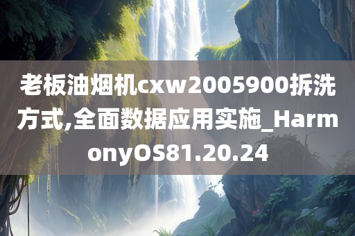 老板油烟机cxw2005900拆洗方式,全面数据应用实施_HarmonyOS81.20.24