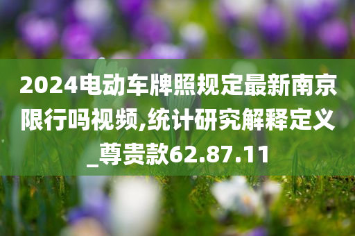 2024电动车牌照规定最新南京限行吗视频,统计研究解释定义_尊贵款62.87.11