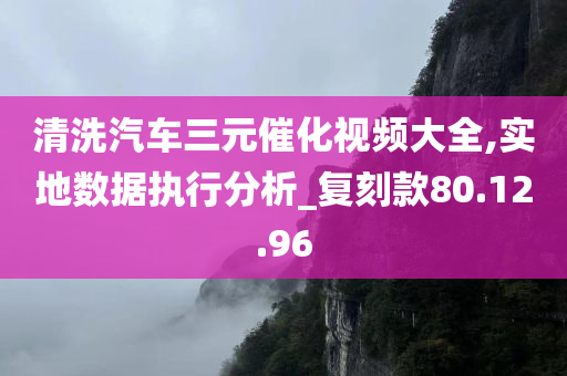 清洗汽车三元催化视频大全,实地数据执行分析_复刻款80.12.96