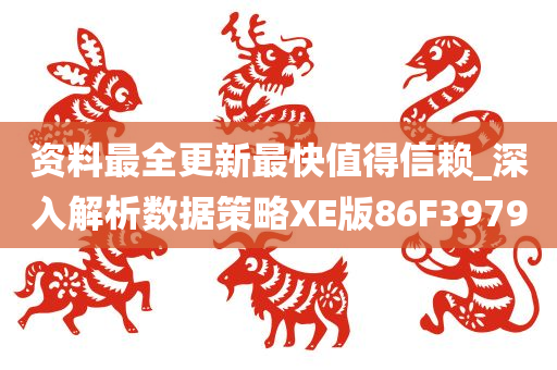 资料最全更新最快值得信赖_深入解析数据策略XE版86F3979