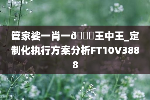 管家娑一肖一🐎王中王_定制化执行方案分析FT10V3888