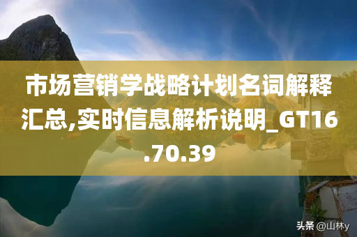 市场营销学战略计划名词解释汇总,实时信息解析说明_GT16.70.39