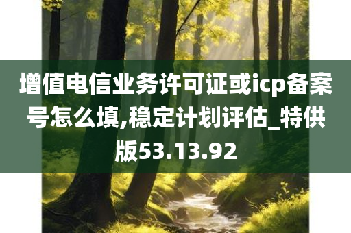 增值电信业务许可证或icp备案号怎么填,稳定计划评估_特供版53.13.92