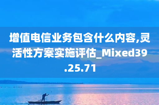 增值电信业务包含什么内容,灵活性方案实施评估_Mixed39.25.71