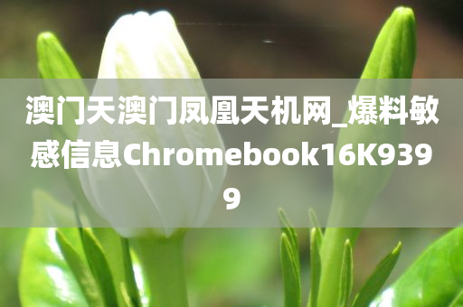 澳门天澳门凤凰天机网_爆料敏感信息Chromebook16K9399