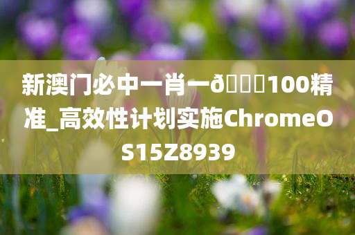 新澳门必中一肖一🐎100精准_高效性计划实施ChromeOS15Z8939