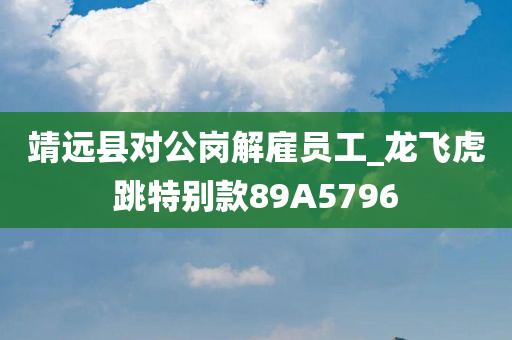 靖远县对公岗解雇员工_龙飞虎跳特别款89A5796