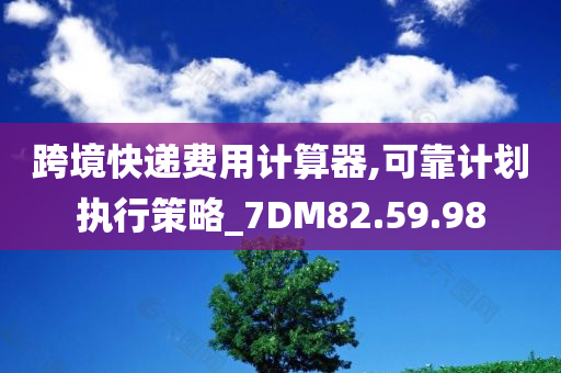 跨境快递费用计算器,可靠计划执行策略_7DM82.59.98