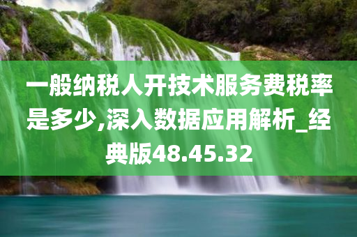 一般纳税人开技术服务费税率是多少,深入数据应用解析_经典版48.45.32