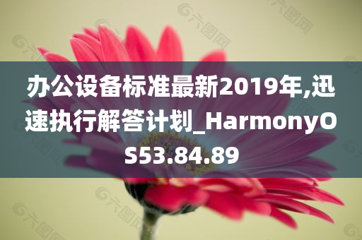 办公设备标准最新2019年,迅速执行解答计划_HarmonyOS53.84.89