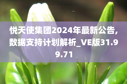 悦天使集团2024年最新公告,数据支持计划解析_VE版31.99.71