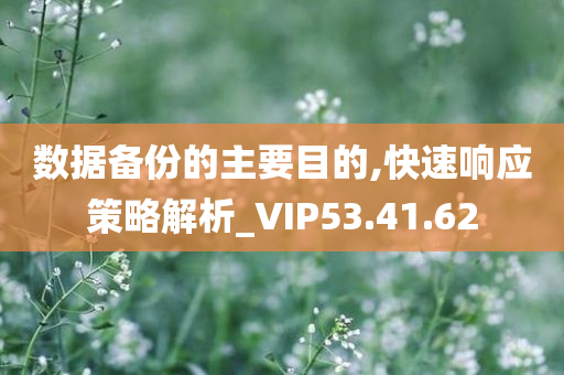 数据备份的主要目的,快速响应策略解析_VIP53.41.62