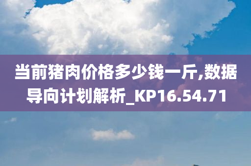 当前猪肉价格多少钱一斤,数据导向计划解析_KP16.54.71