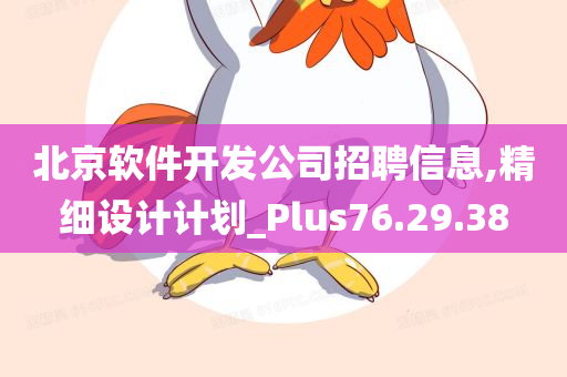 北京软件开发公司招聘信息,精细设计计划_Plus76.29.38