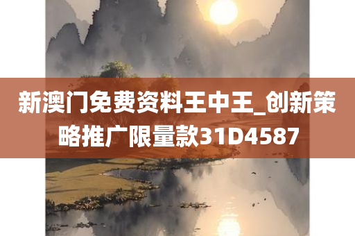 新澳门免费资料王中王_创新策略推广限量款31D4587