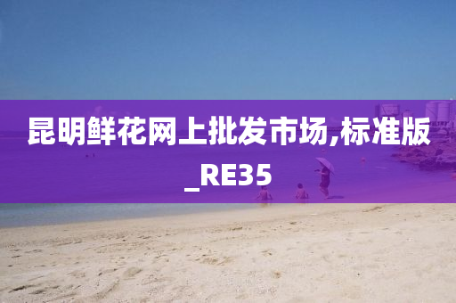 昆明鲜花网上批发市场,标准版_RE35