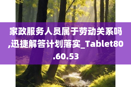 家政服务人员属于劳动关系吗,迅捷解答计划落实_Tablet80.60.53