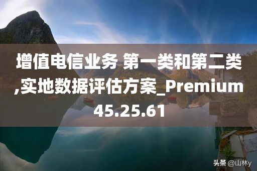 增值电信业务 第一类和第二类,实地数据评估方案_Premium45.25.61