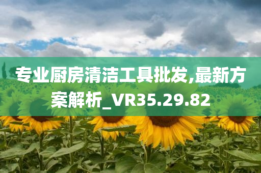 专业厨房清洁工具批发,最新方案解析_VR35.29.82