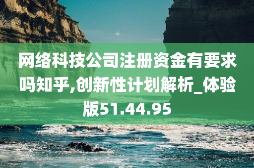 网络科技公司注册资金有要求吗知乎,创新性计划解析_体验版51.44.95