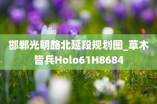 邯郸光明路北延段规划图_草木皆兵Holo61H8684