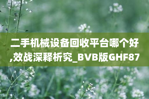 二手机械设备回收平台哪个好,效战深释析究_BVB版GHF87