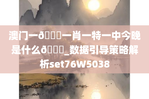 澳门一🐎一肖一特一中今晚是什么🐎_数据引导策略解析set76W5038