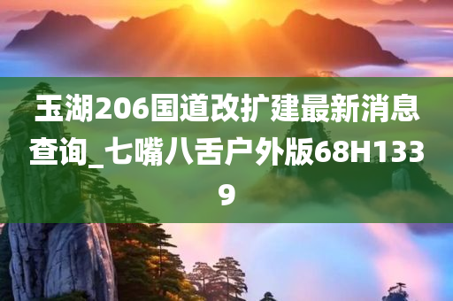 玉湖206国道改扩建最新消息查询_七嘴八舌户外版68H1339