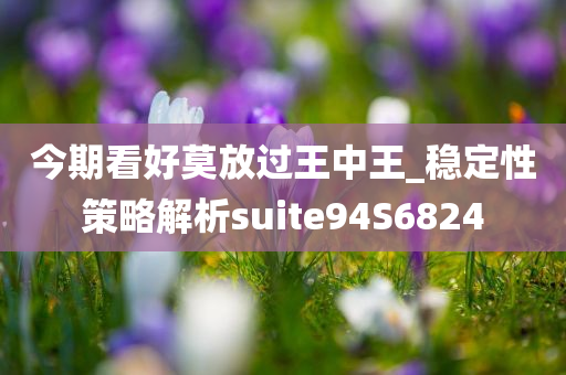 今期看好莫放过王中王_稳定性策略解析suite94S6824