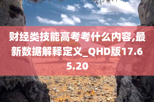 财经类技能高考考什么内容,最新数据解释定义_QHD版17.65.20