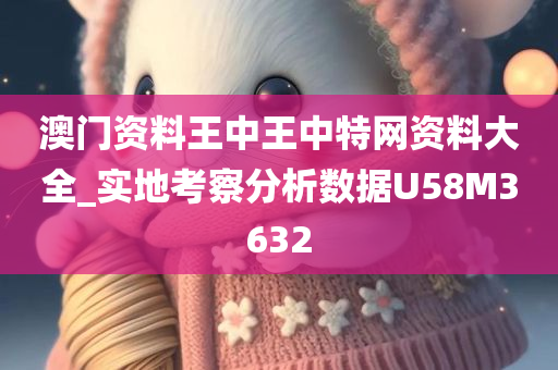 澳门资料王中王中特网资料大全_实地考察分析数据U58M3632